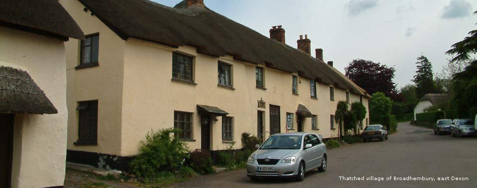 pet friendly thatched holiday cottages near broadhembury east devon