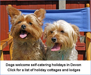 dogs welcome self catering cottages in Devon and the south west of england