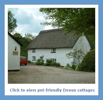 pet friendly self catering holiday cottages in Devon