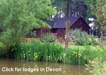 recommended pet friendly holiday lodges in Devon