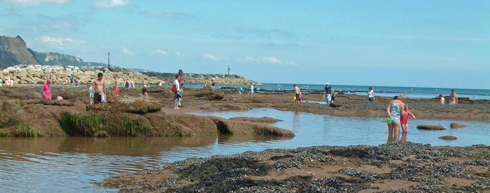 selfcatering holidays devon pet freindly rock pools